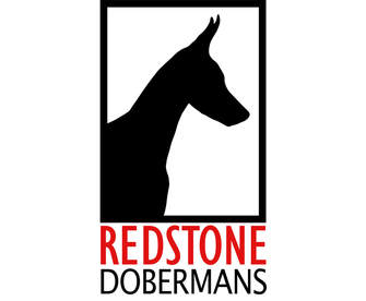 REDSTONE DOBERMANS
